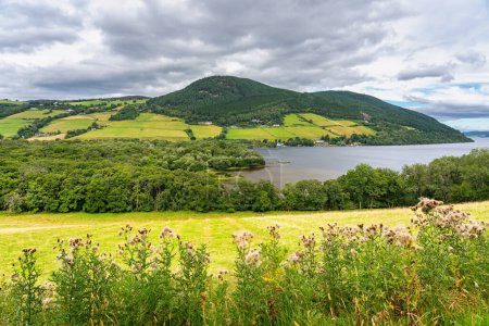 Foto de Paisaje verde del Lago Ness con las montañas que rodean el lago lleno de árboles y prados, Escocia. - Imagen libre de derechos