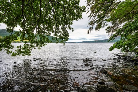 Foto de Orilla del Lago Ness en Escocia, llena de vegetación y árboles, lago famoso por su monstruo Nessi - Imagen libre de derechos