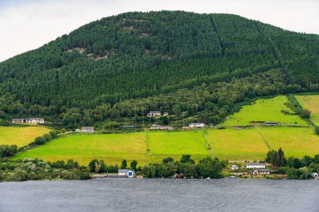 Photo for Mountains surrounding Loch Ness with cottages and sheep quietly grazing, Scotland, UK - Royalty Free Image
