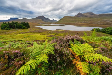 Foto de Altas montañas verdes con lagos y prados herbáceos en un paisaje típico de las tierras altas, Escocia - Imagen libre de derechos