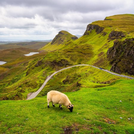Téléchargez les photos : Pâturage de moutons dans des paysages magnifiques au large de l'île de Skye dans le nord de l'Écosse, Royaume-Uni - en image libre de droit