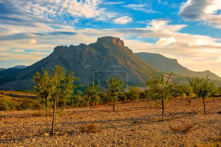 Photo for Mountains of an Andalusian landscape at sunrise in the village of Velez Blanco, Almeria - Royalty Free Image