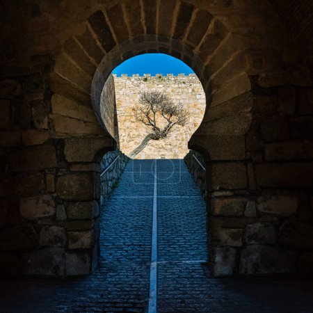 Zugangstür im arabischen Stil zur mittelalterlichen Burg von Trujillo in Extremadura.
