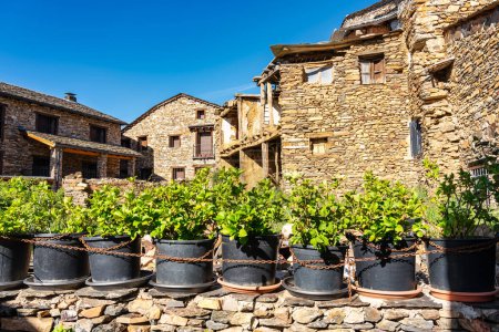 Pots with green plants that bloom in spring in the villages of Spain