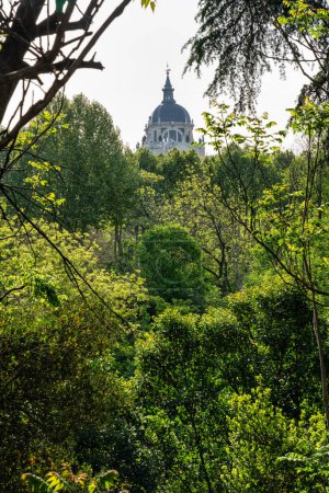 View of the Almudena Cathedral rising from the trees in Spains capital, Madrid