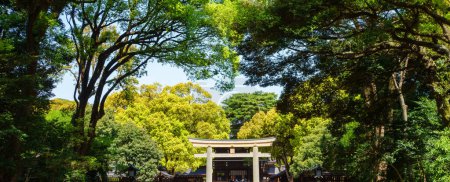 Panoramablick mit dem Eingangstor zum Yoyogi Park und seinen beeindruckenden Bäumen, Tokio, Japan.