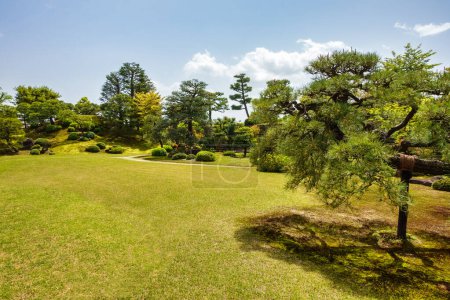 Green meadow with trees on the grounds of the medieval castle of Nijo, Kyoto