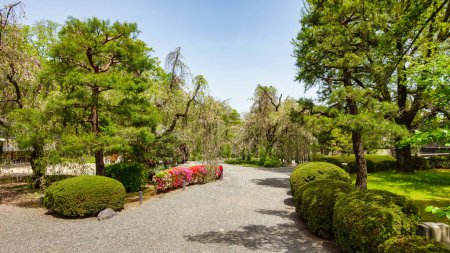 Japanese garden paths with trees and green plants in a peace compound, Kyoto