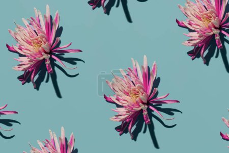 Foto de Flores frescas rosadas sobre un fondo azul pastel, patrón floral creativo, triste, deprimido, melancólica paleta de colores. - Imagen libre de derechos