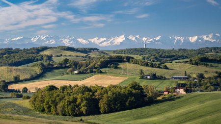 Téléchargez les photos : Paysage rural dans le département du Gers en France avec les Pyrénées en arrière-plan - en image libre de droit