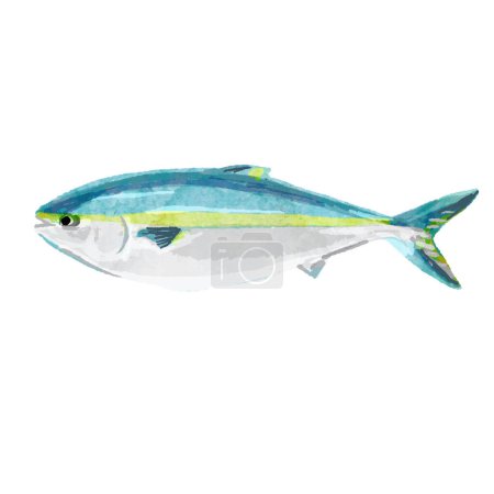 Illustration for Watercolor vector illustration of fish - Royalty Free Image