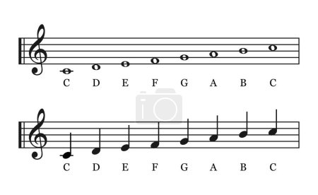 Illustration for C major scale, full notes. Key of C. Major scale based on C key signatures. Vector illustration - Royalty Free Image