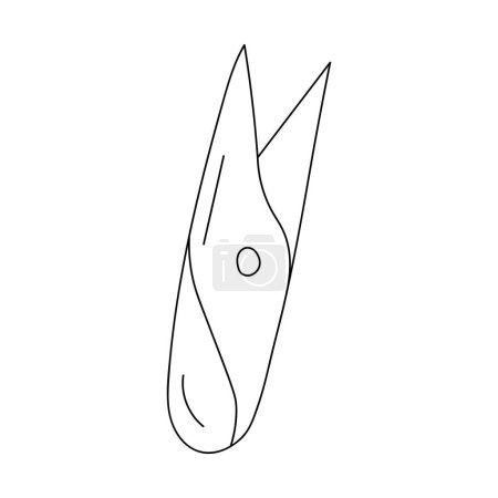 Vektor-Gewindeschneider. Gekritzelte Illustration eines Nähschneiders. Stoffschneider isoliert auf weißem Hintergrund.