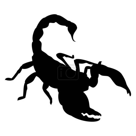 Illustration for Scorpion animal silhouette. Vector image - Royalty Free Image