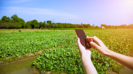 Téléchargez les photos : Fermez la main tenant mobile et application ouverte agriculture intelligente.Agriculture technologie verte et concept scientifique, système d'écologie - en image libre de droit