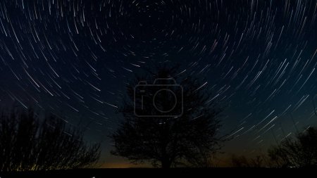 Star trails in the night sky above the silhouette of a tree. Stars move around a polar star