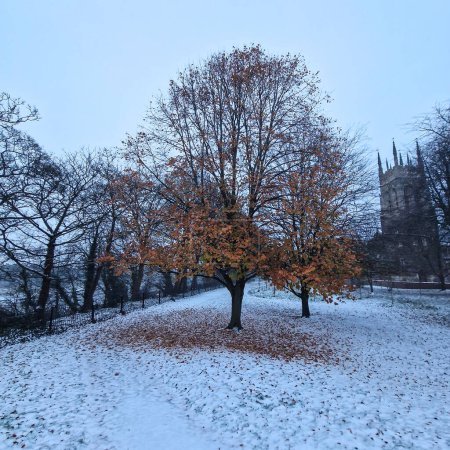 Photo for First snow, England Burton on Trent, Park Staphenhill. - Royalty Free Image
