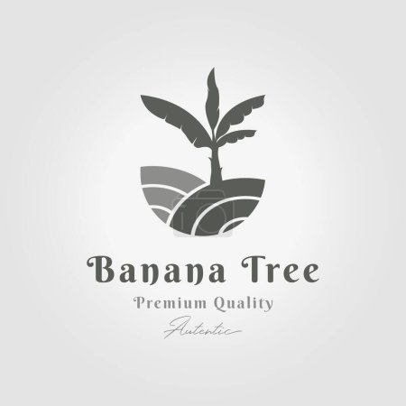 Illustration for Banana tree logo icon design vector minimal emblem, banana plantation illustration - Royalty Free Image