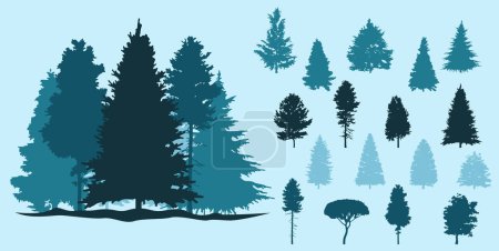 Spruce tree silhouette.Pine tree silhouette.