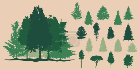 Photo for Spruce tree silhouette.Pine tree silhouette. - Royalty Free Image