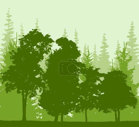 Illustration for Spruce tree silhouette. Pine tree silhouette - Royalty Free Image