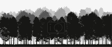 Photo for Vector silhouette of Treeline Spruce And Pines.Horizontal spruce background.Spruce treeline - Royalty Free Image