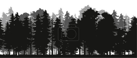 Vector silhouette of Treeline Spruce And Pines.Horizontal spruce background.Spruce treeline