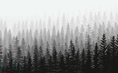 Vector silhouette of Treeline Spruce And Pines.Horizontal spruce background.Spruce treeline