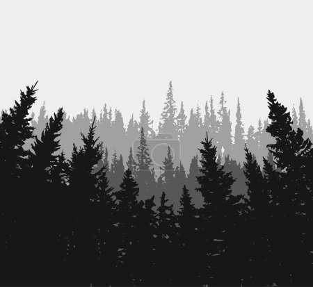 Illustration for Vector silhouette of Treeline Spruce And Pines - Royalty Free Image