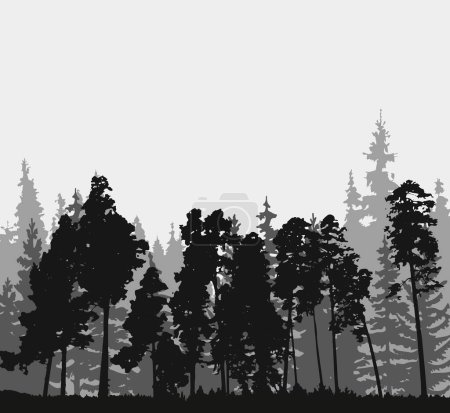 Illustration for Vector silhouette of Treeline Spruce And Pines - Royalty Free Image