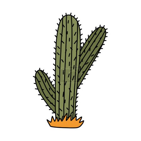 Ilustración de Bonito garabato de cactus saguaro de México o desierto del Salvaje Oeste con contorno dibujado a mano. Vector simple flor de cactus con espinas en estilo de dibujos animados. Planta exótica espinosa mexicana aislada sobre fondo blanco. - Imagen libre de derechos