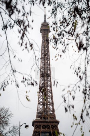 Photo for Autumn branches on the Eiffel Tower in Paris in the rain - France - Royalty Free Image