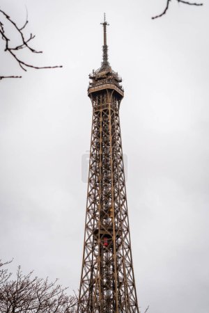 Photo for Autumn branches on the Eiffel Tower in Paris with its 2 rising elevators - France - Royalty Free Image
