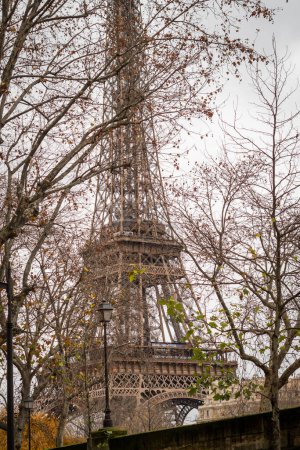 Photo for The Eiffel Tower in Paris through the autumn branches of Avenue du Prsident Kennedy - Royalty Free Image