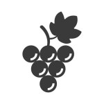 Grape glyph icon isolated on white background.Vector illustration.
