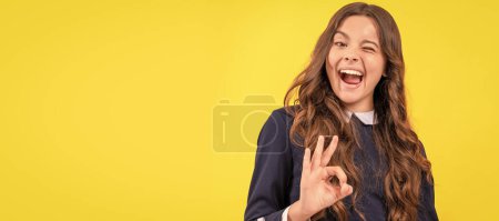Photo for Winking kid show ok gesture. Child face, horizontal poster, teenager girl isolated portrait, banner with copy space - Royalty Free Image