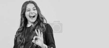 Photo for Winking kid show ok gesture. Child face, horizontal poster, teenager girl isolated portrait, banner with copy space - Royalty Free Image