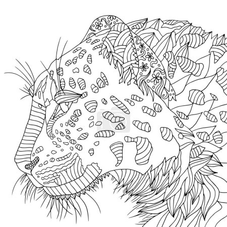 Portrait détaillé de léopard. Faune chat visage vecteur illustration dessinée à la main. Coloriage pour adulte avec gribouillis et éléments en zentangle.