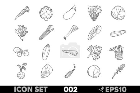 Set von 20 linearen Symbolen verschiedener Gemüse- und Grünsorten in schwarz-weißem Design. Enthält Zucchini, Pastinaken, Petersilie, Fenchel, Kohlrabi, Sellerie, Mangold, Rettich und mehr.