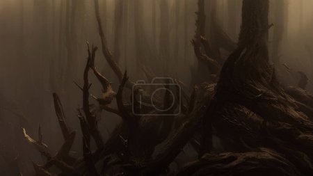Téléchargez les photos : Arbre brisé et ses racines dans la forêt brumeuse. - en image libre de droit