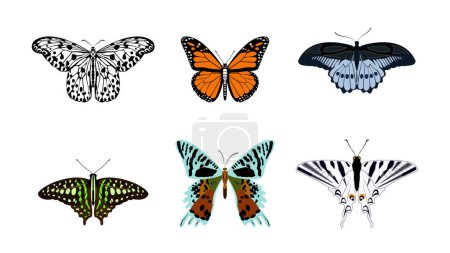 Téléchargez les photos : Ensemble de clipart papillon. - en image libre de droit
