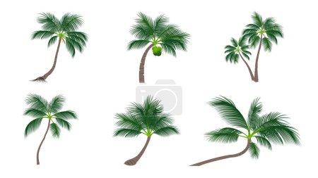Ilustración de Conjunto de palmeras de coco. - Imagen libre de derechos