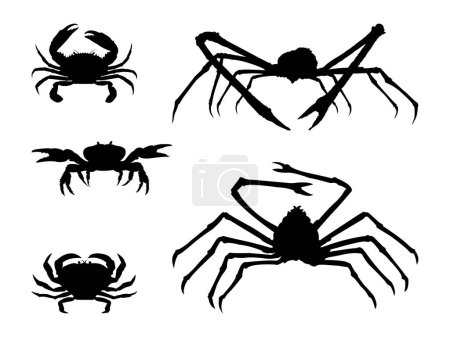 Illustration for Collection of Crab Silhouette. - Royalty Free Image