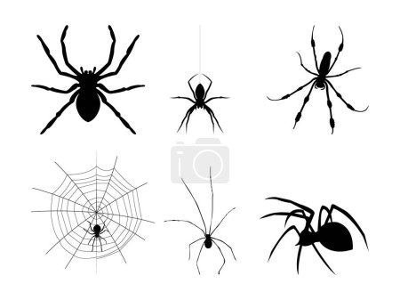 Téléchargez les illustrations : Collection de Silhouette d'Araignée. - en licence libre de droit