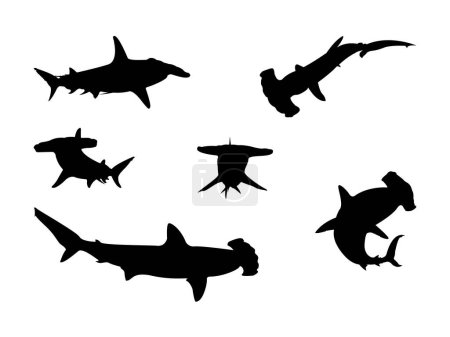Illustration for Hammerhead Shark Silhouette Collection. - Royalty Free Image