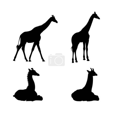 Téléchargez les photos : Ensemble de silhouettes de girafe noire. - en image libre de droit