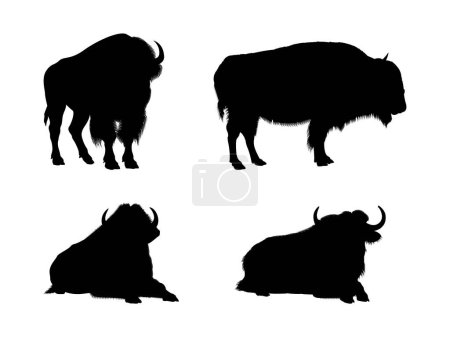 Téléchargez les photos : Ensemble de silhouettes de bisons noirs. - en image libre de droit