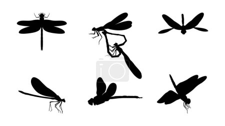 Téléchargez les photos : Simple noir Dragonfly Silhouette vecteur. - en image libre de droit