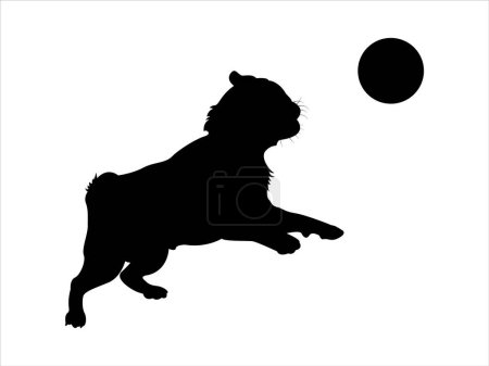 Ilustración de Silueta de un perro pug saltando para tratar de atrapar una pelota. - Imagen libre de derechos