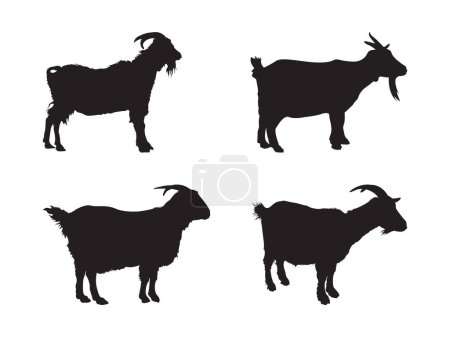 Siluetas de cerca de cuatro cabras sobre fondo blanco, adecuadas para folletos de granja, diseños temáticos de animales o materiales educativos.